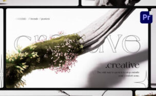 Videohive Organic Growth Posters