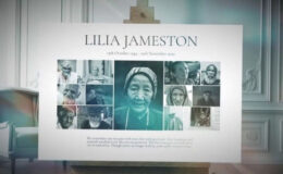Videohive Funeral Gallery For After Effects