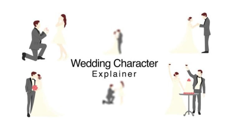 Videohive Wedding Character Explainer