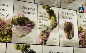 Videohive Mystic Growth Stories