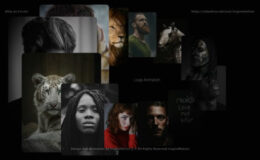 Videohive Photo Carousel Pack