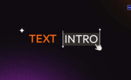 Videohive Text Intro 60377291