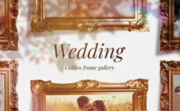 Videohive Wedding Golden Frame Gallery