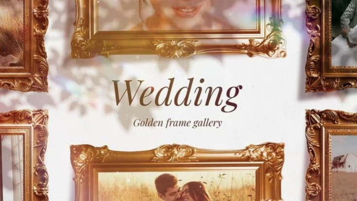 Videohive Wedding Golden Frame Gallery