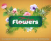 Aescripts Flowers Bloom v1.1.2