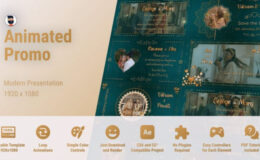 Videohive Wedding Indian Invitation