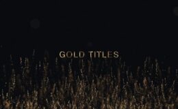 Videohive Gold Titles