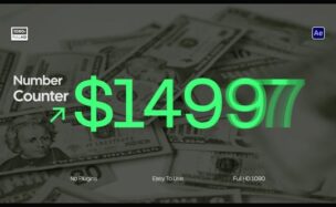 Videohive Number Counter
