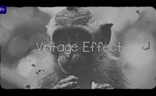Videohive Vintage Effect