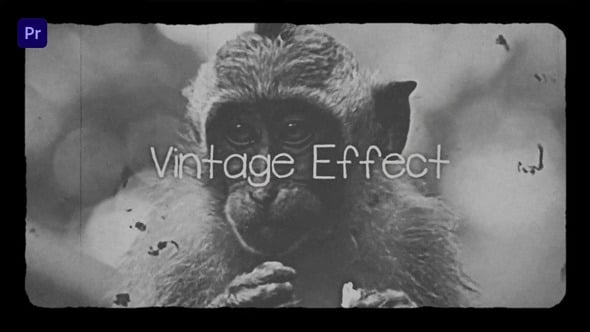 Videohive Vintage Effect