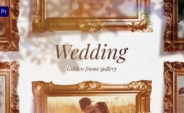 Videohive Wedding Golden Frame Gallery For Premiere Pro
