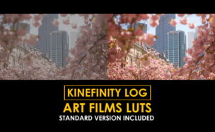 Videohive Kinefinity Log Art Films and Standard LUTs