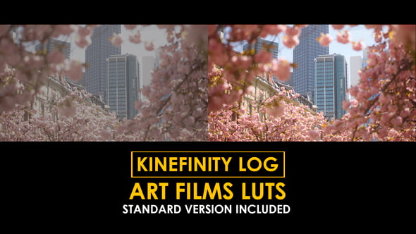 Videohive Kinefinity Log Art Films and Standard LUTs