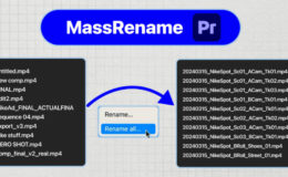 Aescripts MassRename v0.0.2 Free Download