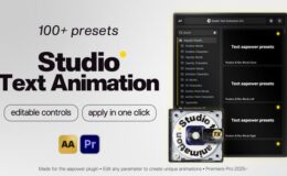 Videohive 100+ Text Presets with Custom Controls for Premiere Pro - AAPOWER