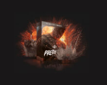 Download BIGFILMS PREDATOR Pack