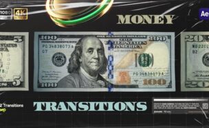 Money Transitions Free Videohive