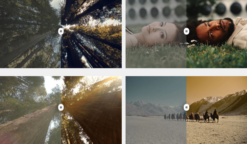 Indian Summer LUTs & LR Presets