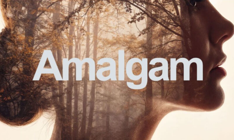 Aescripts Amalgam V1.5.0
