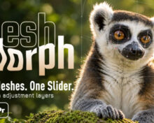 Aescripts MeshMorph v1.4